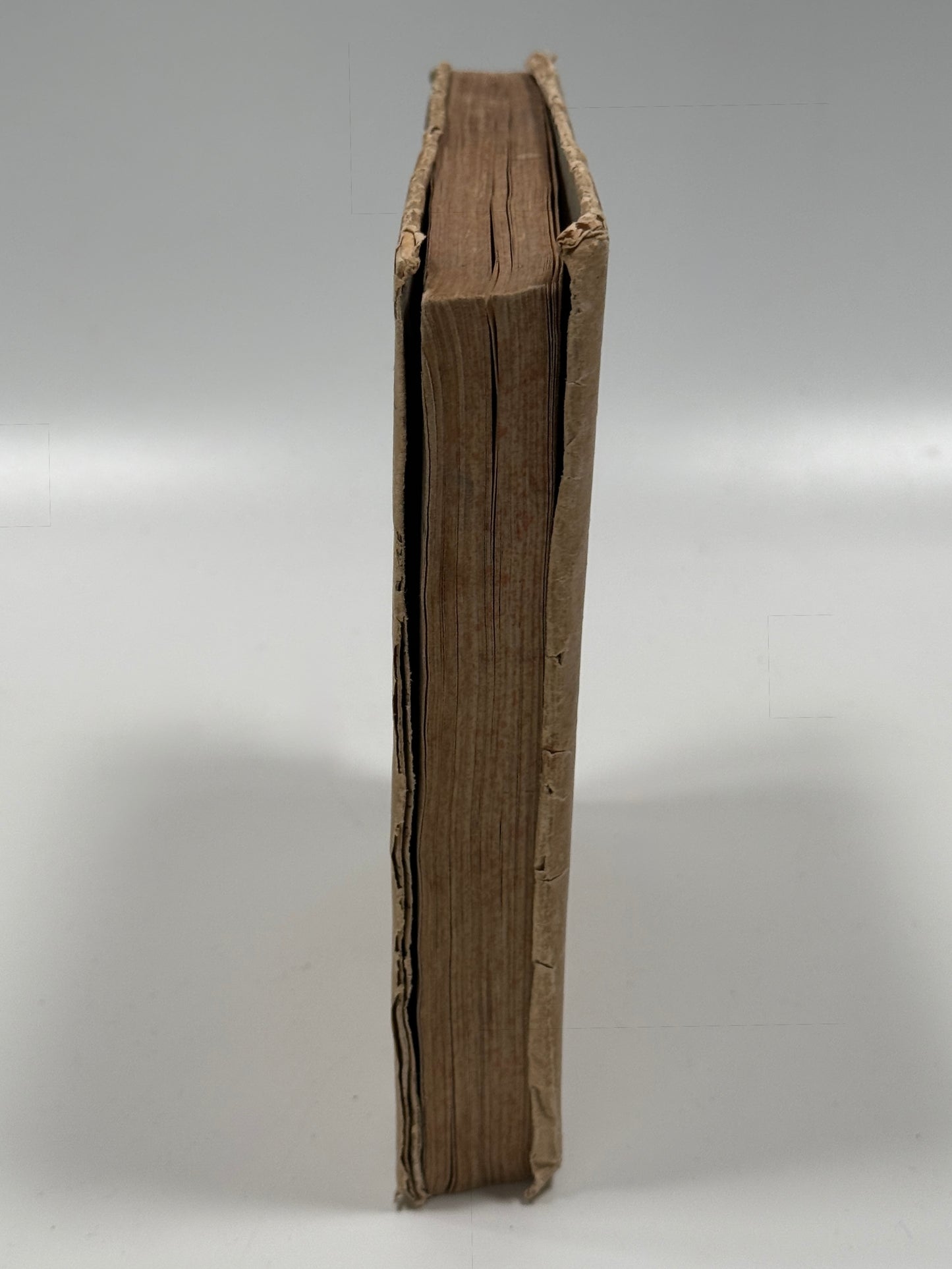 Sermones Sancti Augustini ad heremitas 1517