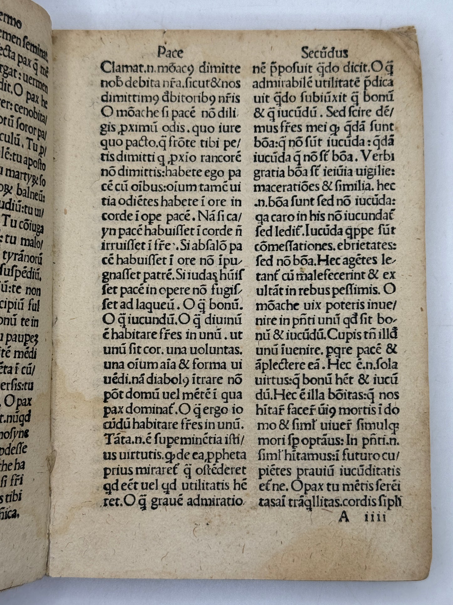 Sermones Sancti Augustini ad heremitas 1517