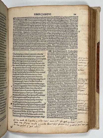 The Works of Virgil 1489 Incunable; Cristoforo Landino's Commentary; Aeneid