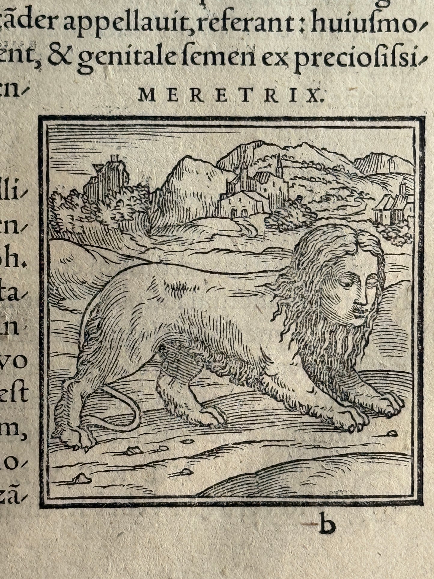 Valeriano's Hieroglyphica 1567