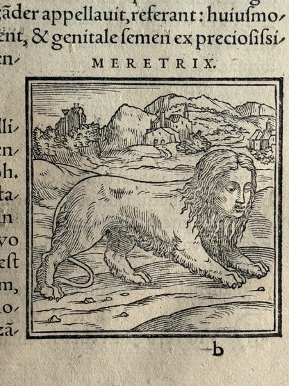 Valeriano's Hieroglyphica 1567