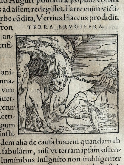 Valeriano's Hieroglyphica 1567