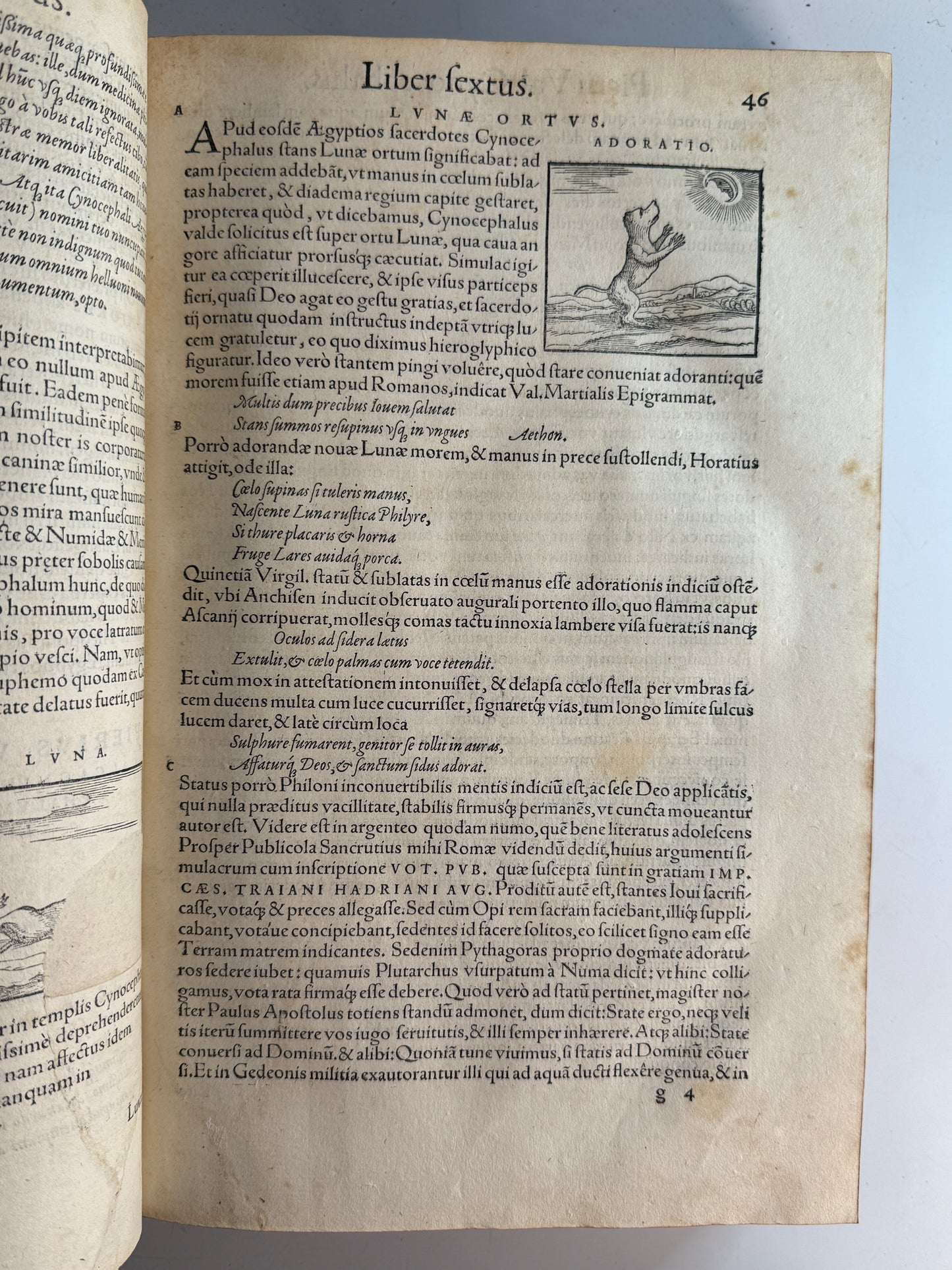 Valeriano's Hieroglyphica 1567
