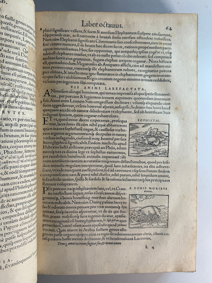 Valeriano's Hieroglyphica 1567