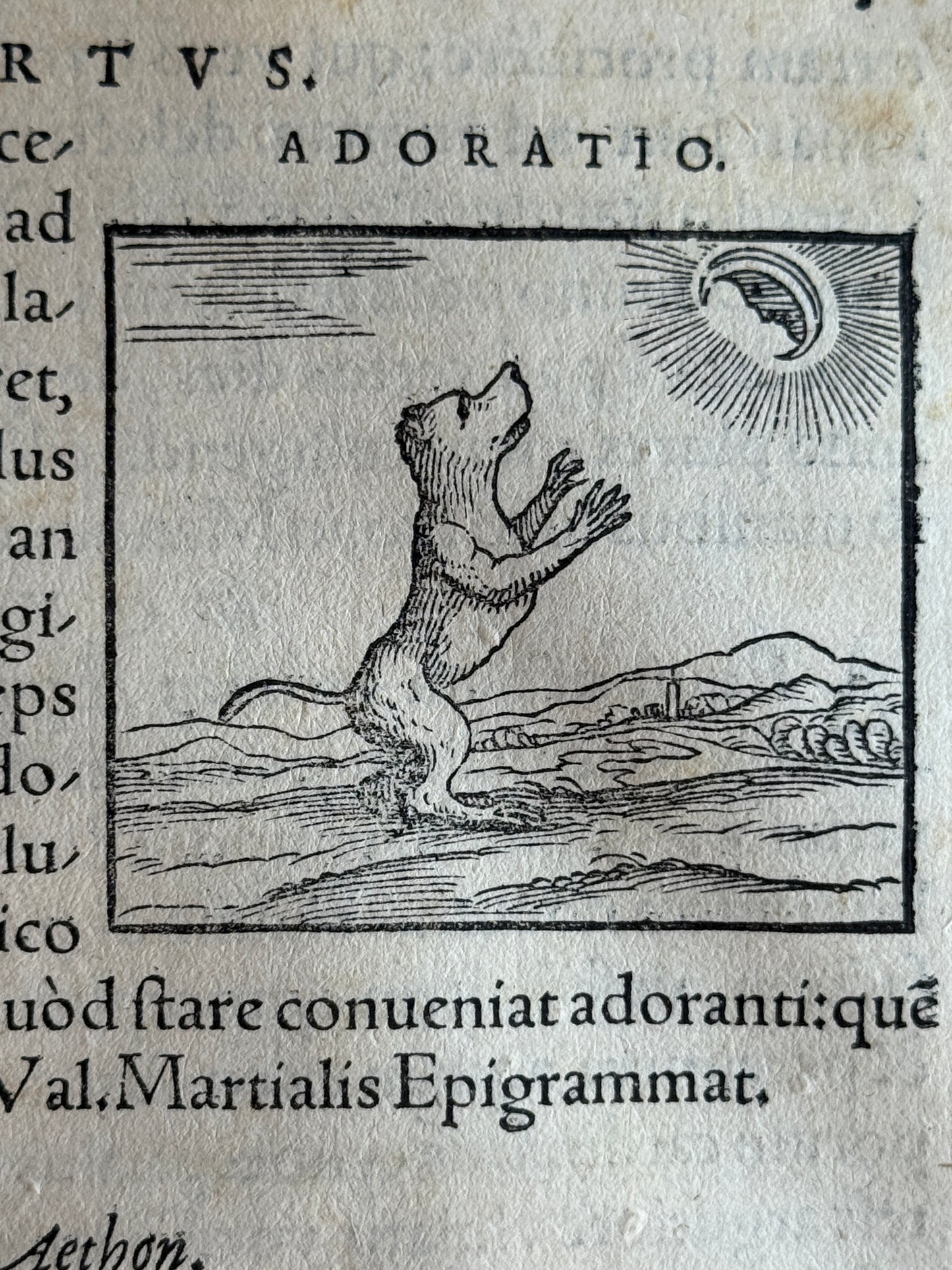 Valeriano's Hieroglyphica 1567