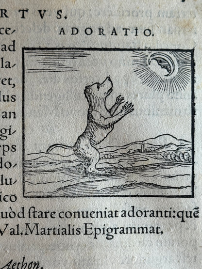 Valeriano's Hieroglyphica 1567