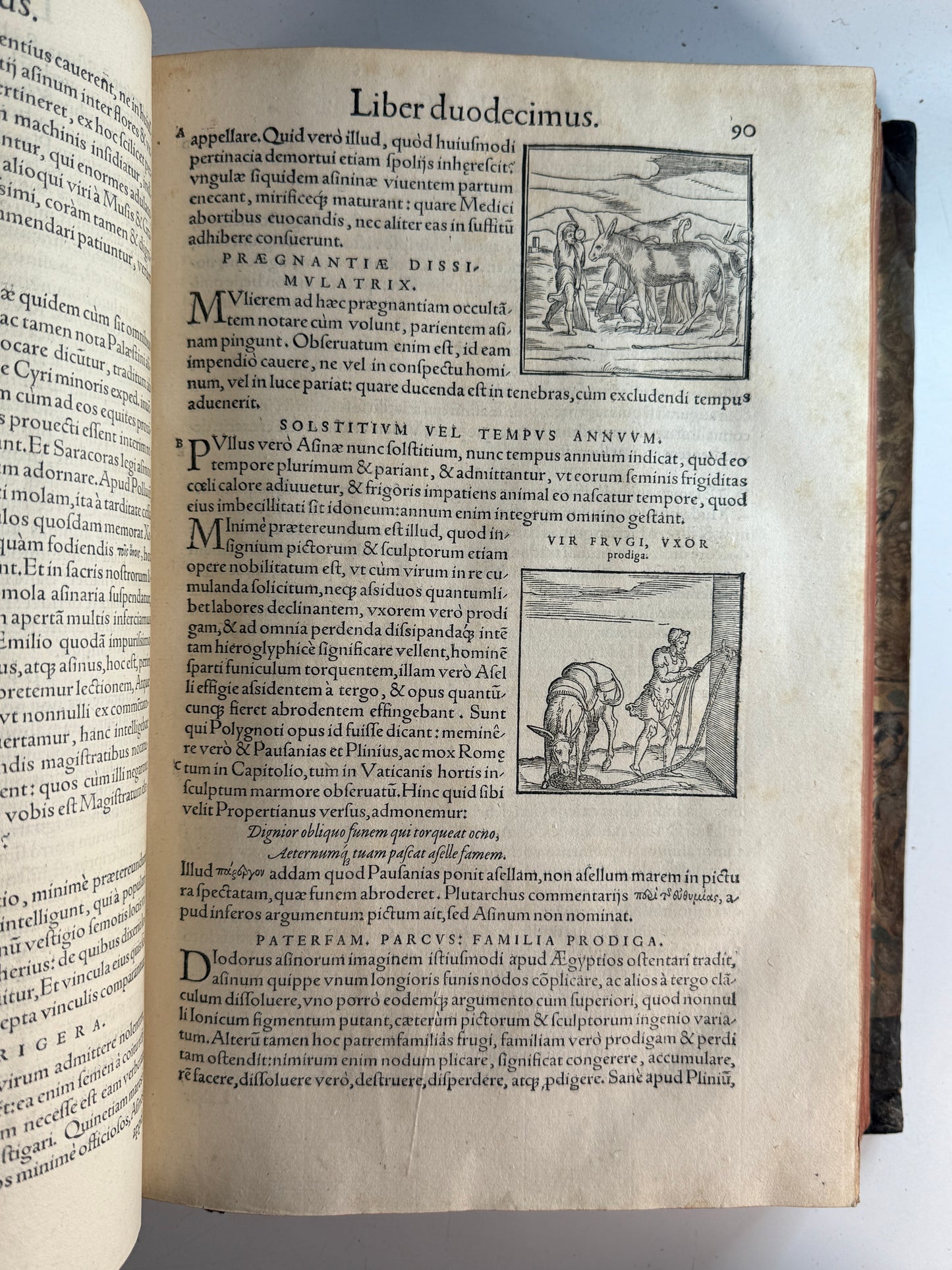 Valeriano's Hieroglyphica 1567