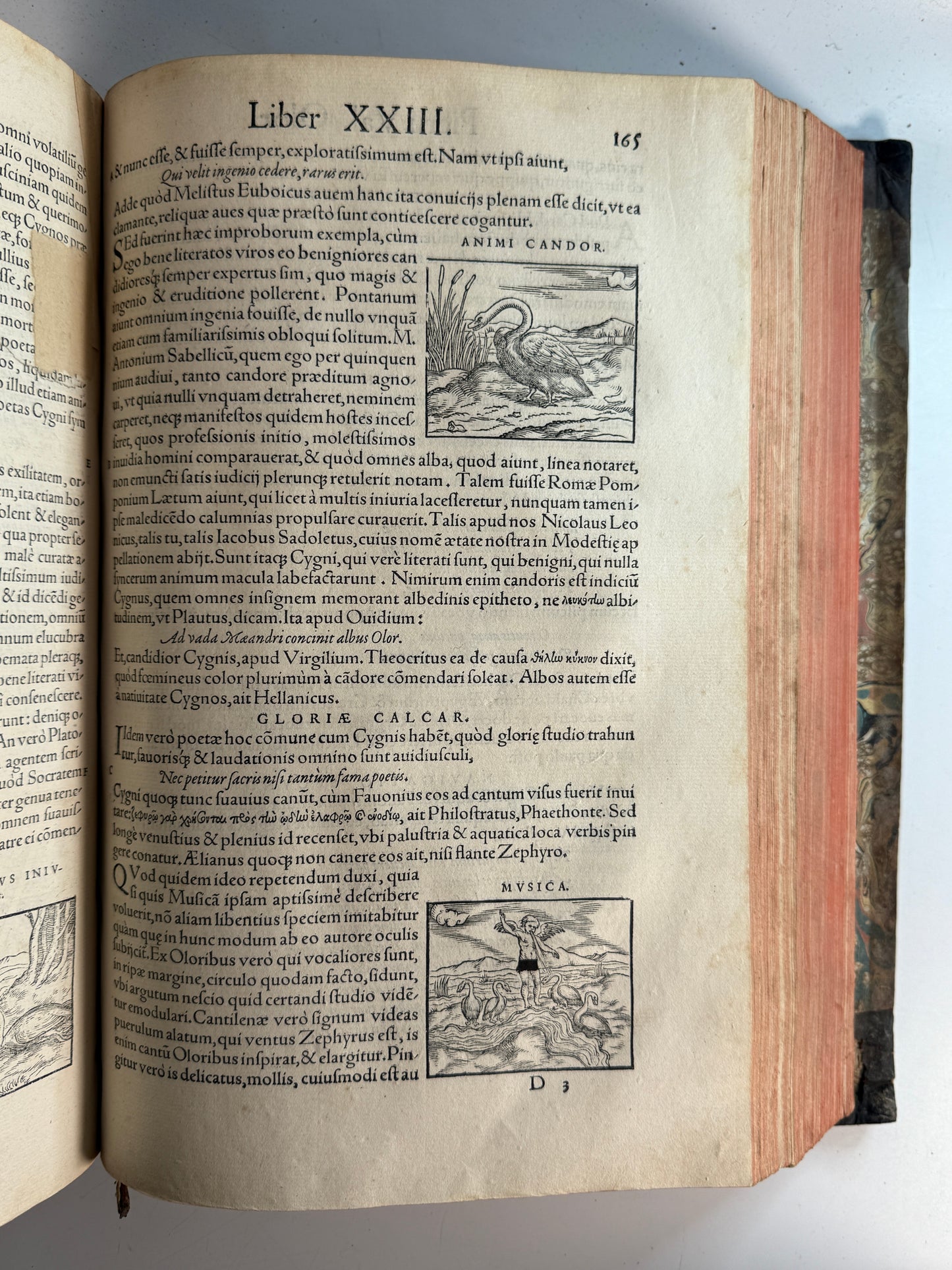 Valeriano's Hieroglyphica 1567