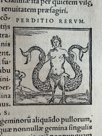 Valeriano's Hieroglyphica 1567