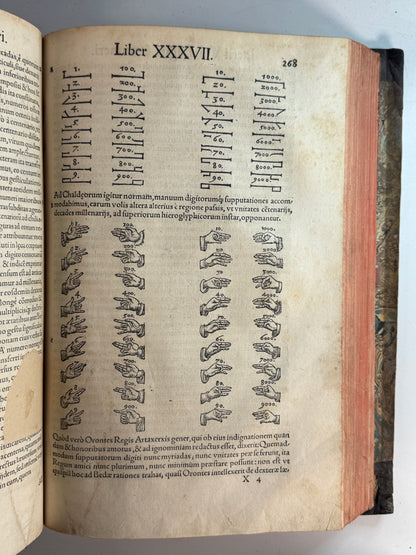 Valeriano's Hieroglyphica 1567