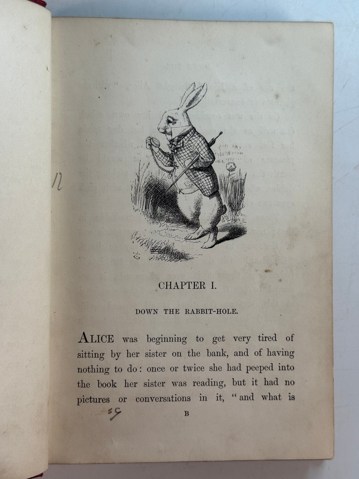 Alice in Wonderland by Lewis Carroll 1881