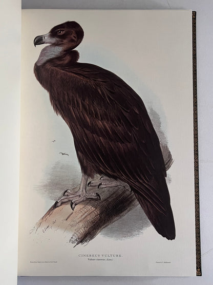 John Gould Illustration of Birds - Folio Society Limited Edition Signed