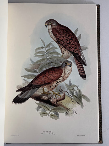 John Gould Illustration of Birds - Folio Society Limited Edition Signed