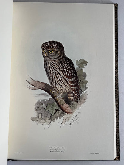 John Gould Illustration of Birds - Folio Society Limited Edition Signed