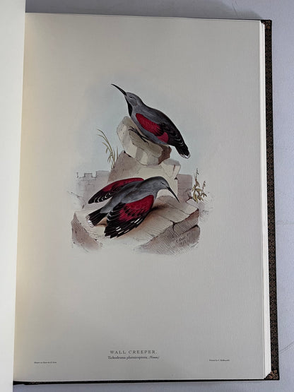 John Gould Illustration of Birds - Folio Society Limited Edition Signed