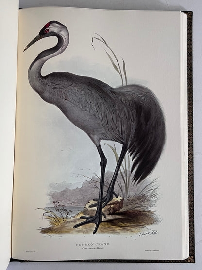 John Gould Illustration of Birds - Folio Society Limited Edition Signed