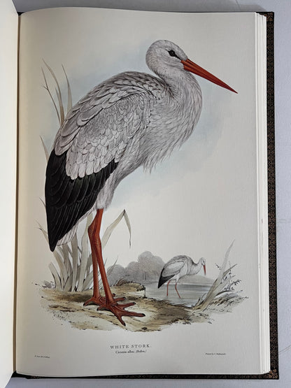 John Gould Illustration of Birds - Folio Society Limited Edition Signed