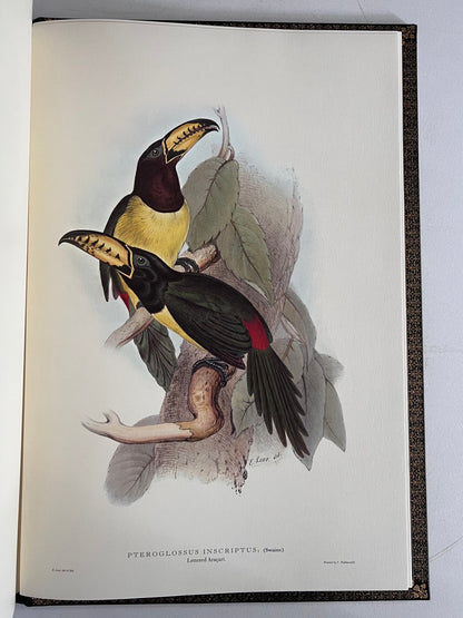 John Gould Illustration of Birds - Folio Society Limited Edition Signed