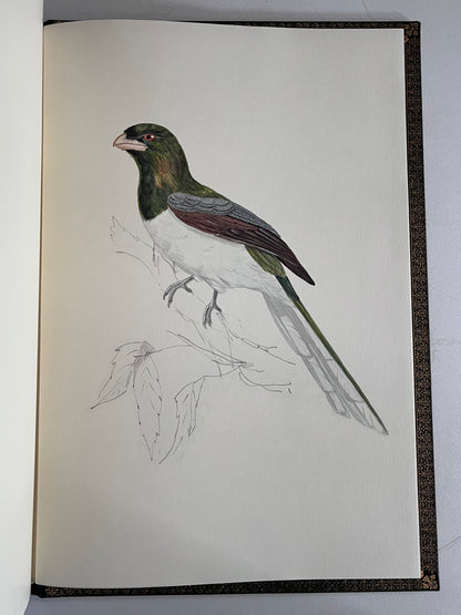 John Gould Illustration of Birds - Folio Society Limited Edition Signed