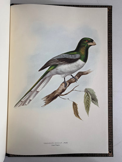 John Gould Illustration of Birds - Folio Society Limited Edition Signed