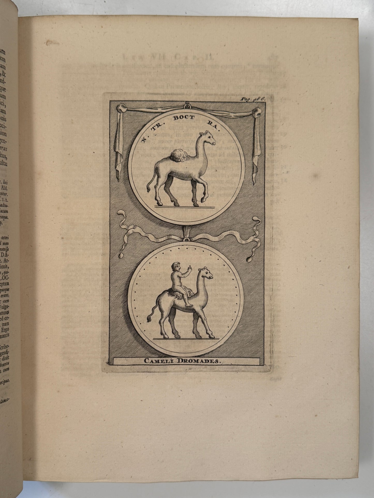 The History of Alexander the Great 1724