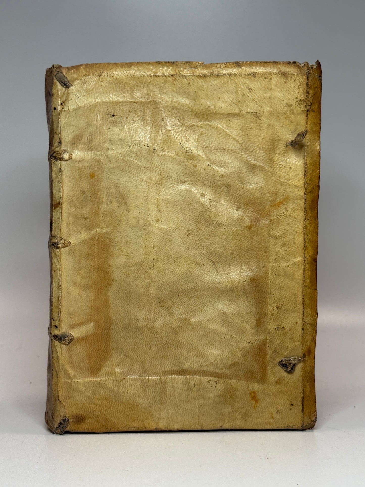 Acciaioli's Commentary on Aristotle's Politics 1566