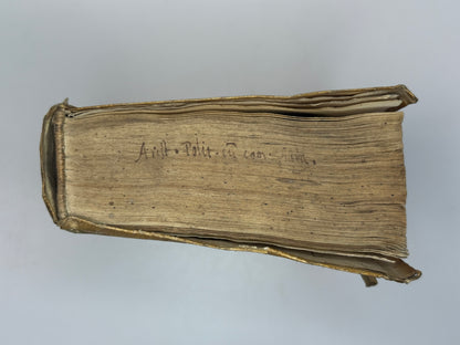 Acciaioli's Commentary on Aristotle's Politics 1566