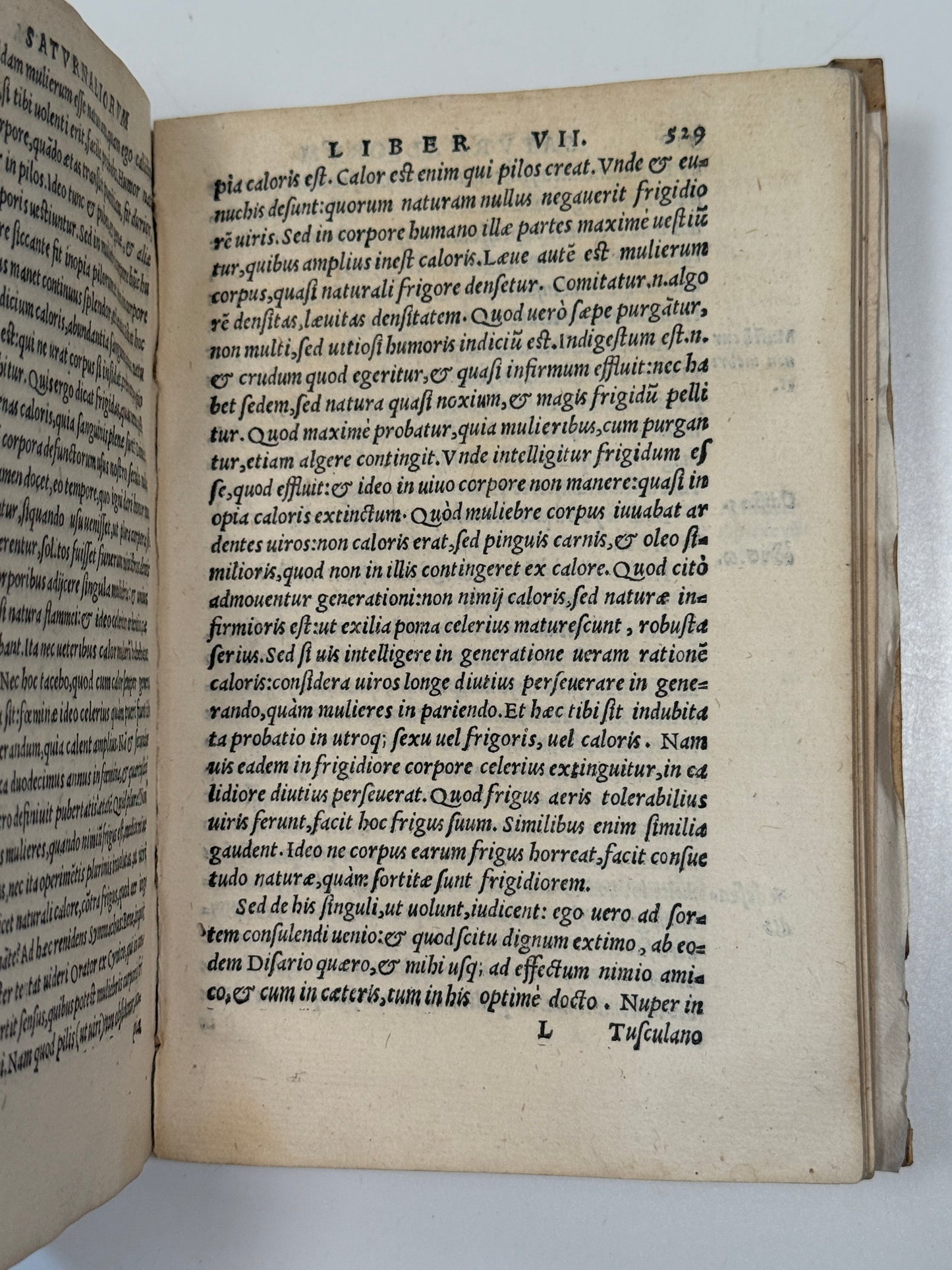 Macrobius' Saturnaliorum 1560
