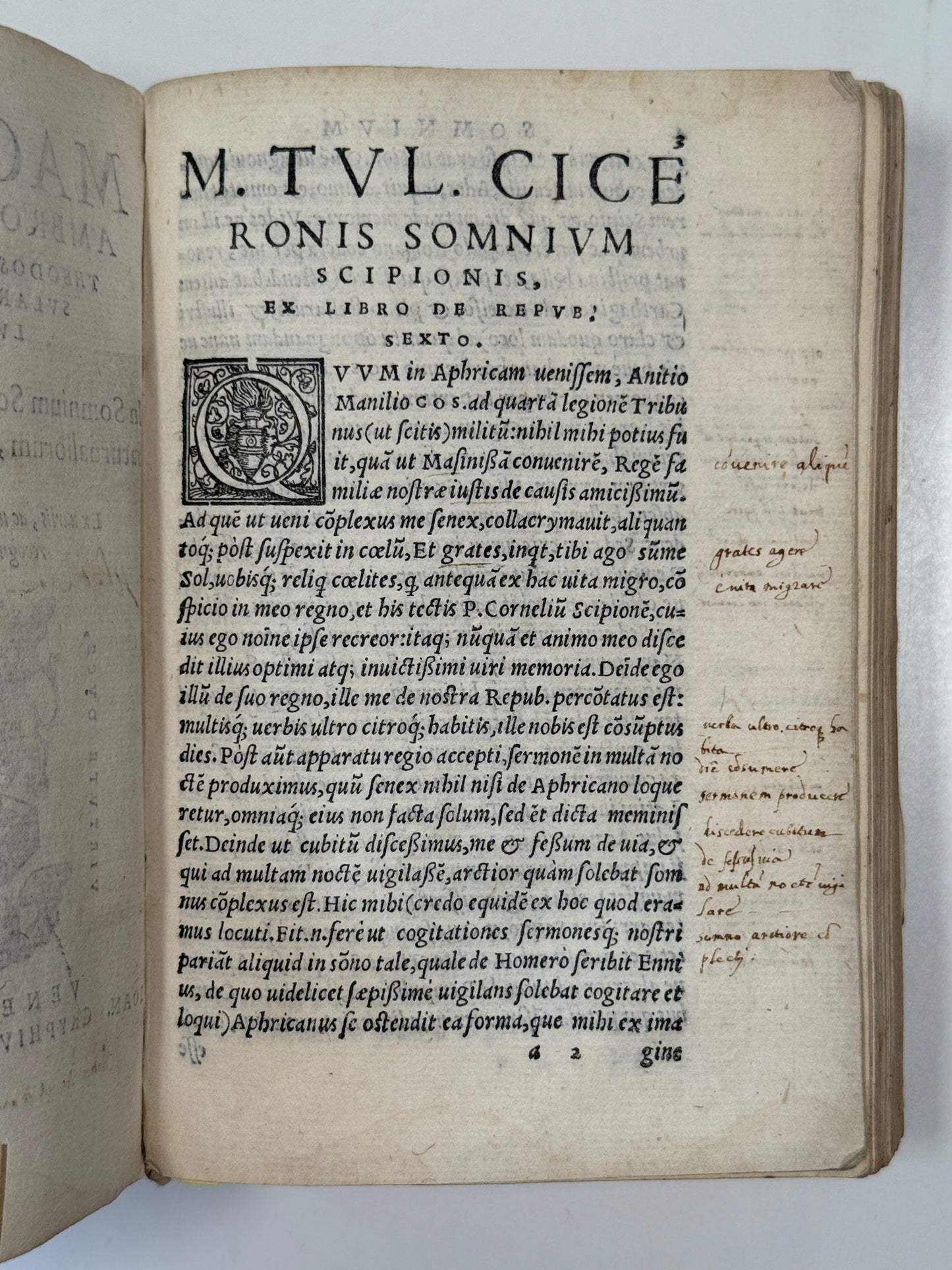 Macrobius' Saturnaliorum 1560