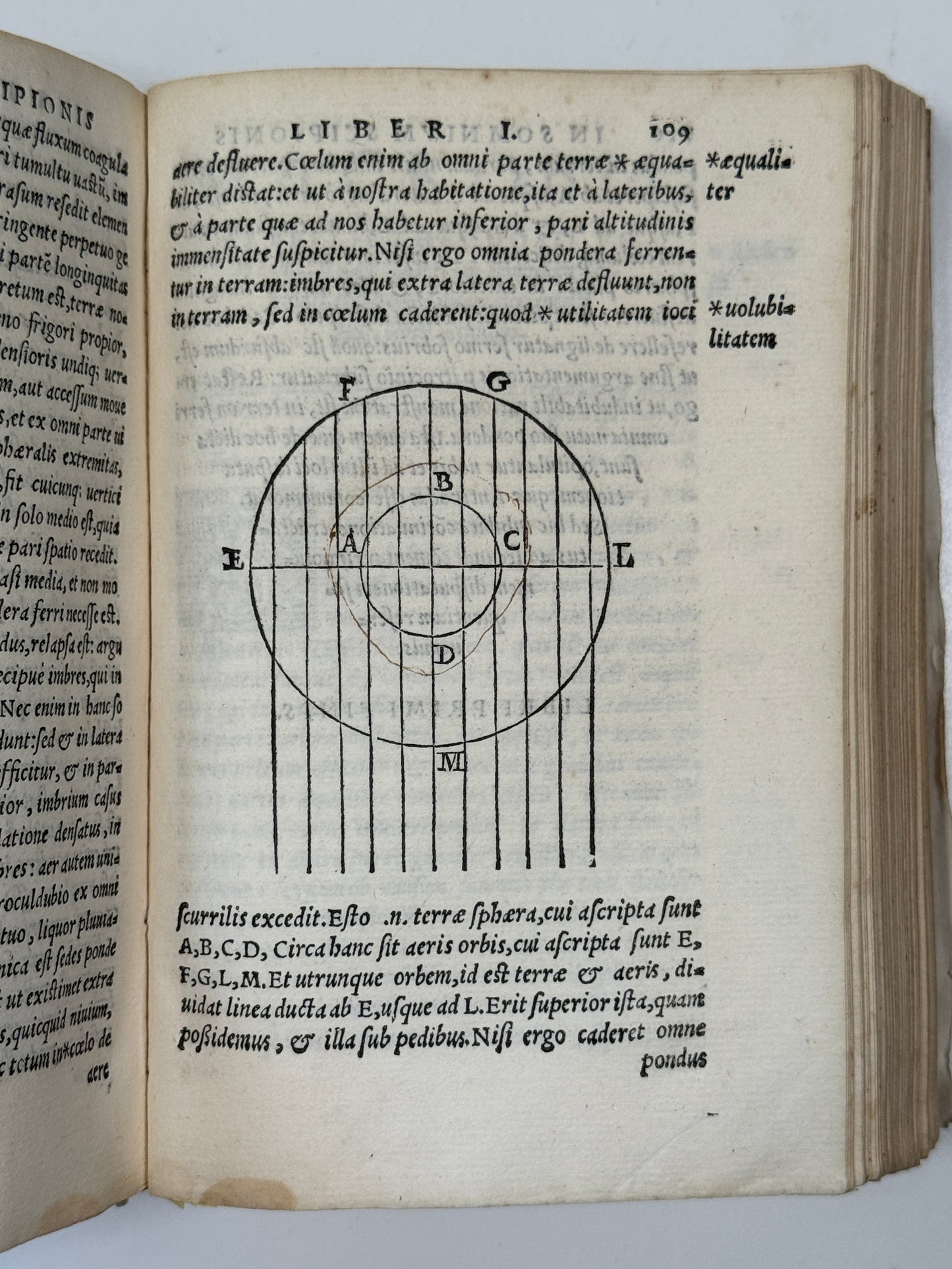 Macrobius' Saturnaliorum 1560