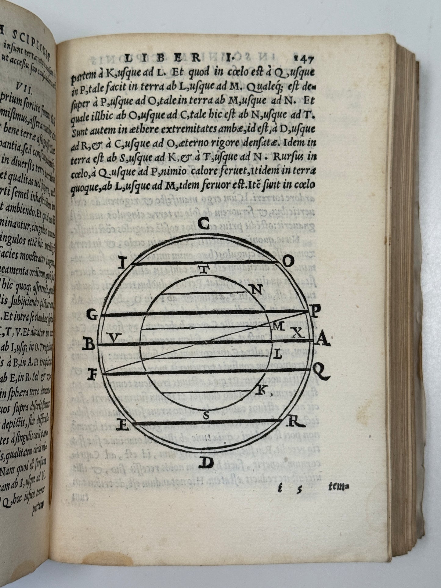 Macrobius' Saturnaliorum 1560