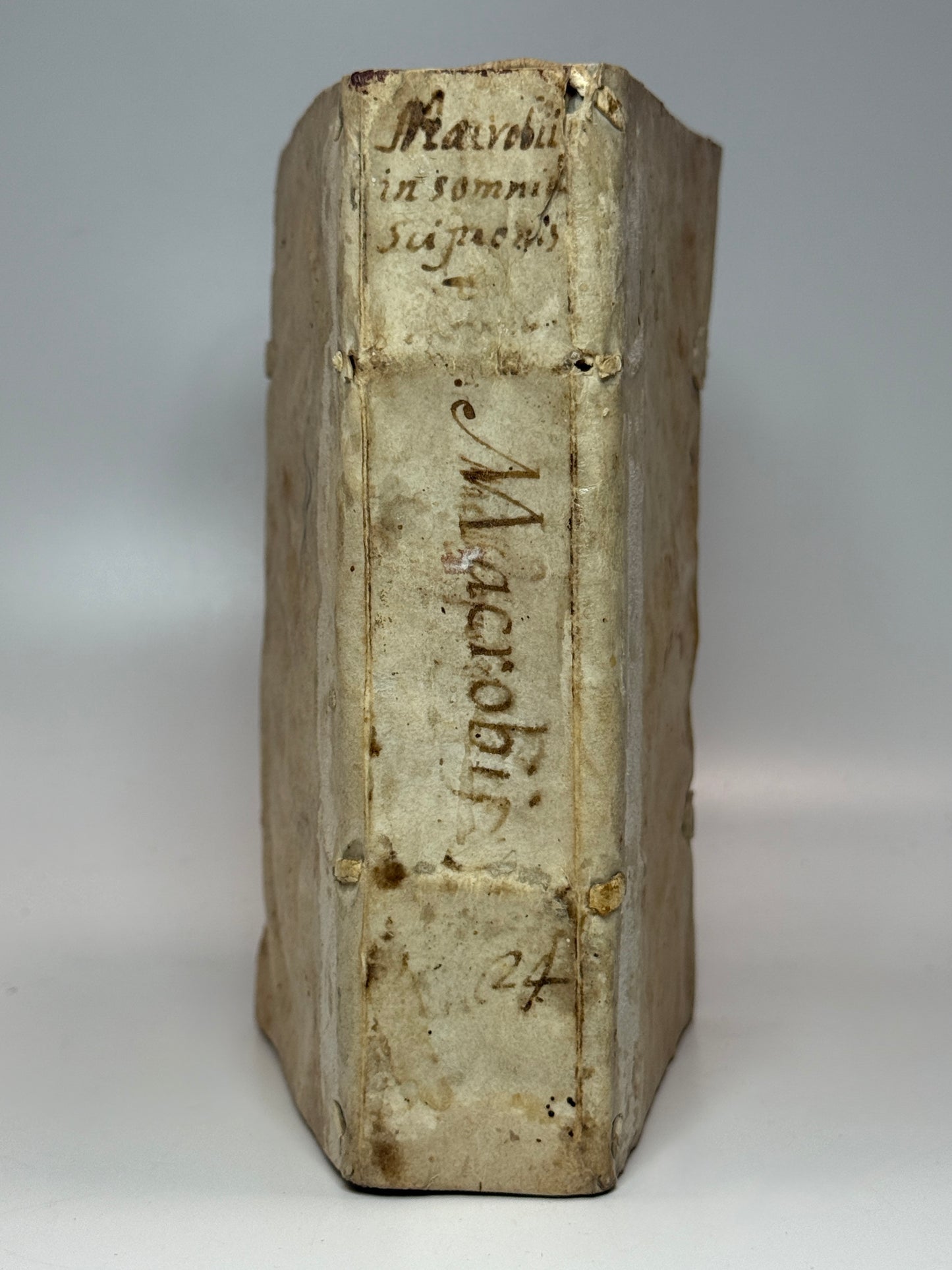 Macrobius' Saturnaliorum 1560