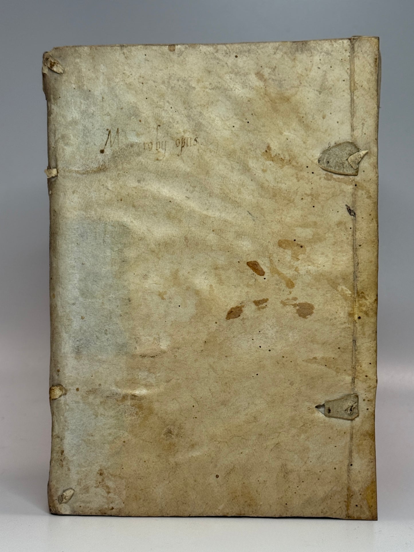 Macrobius' Saturnaliorum 1560