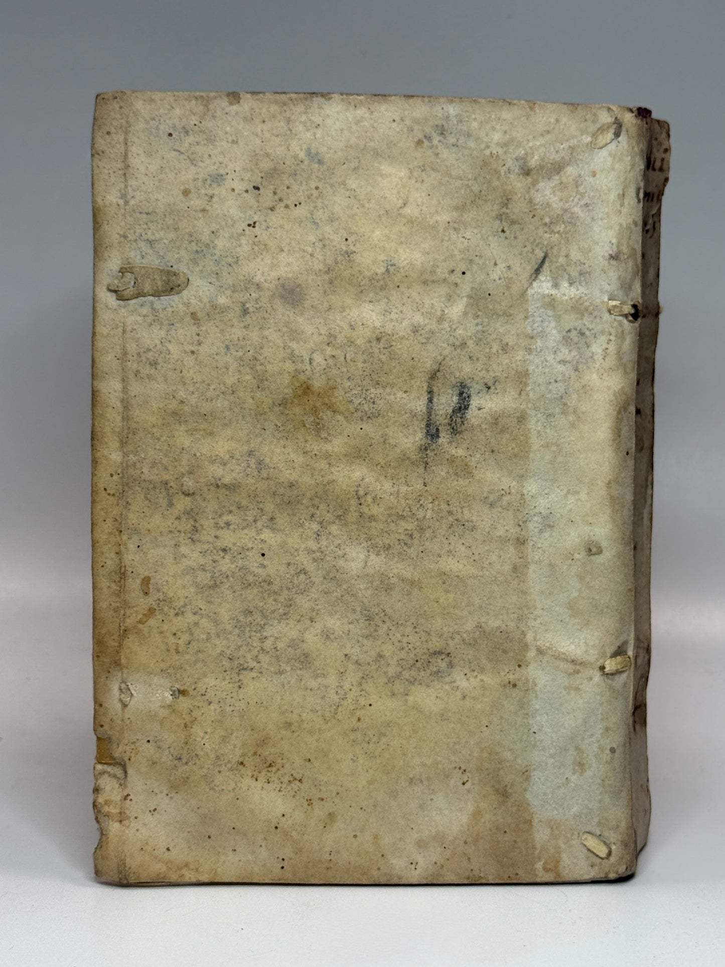 Macrobius' Saturnaliorum 1560