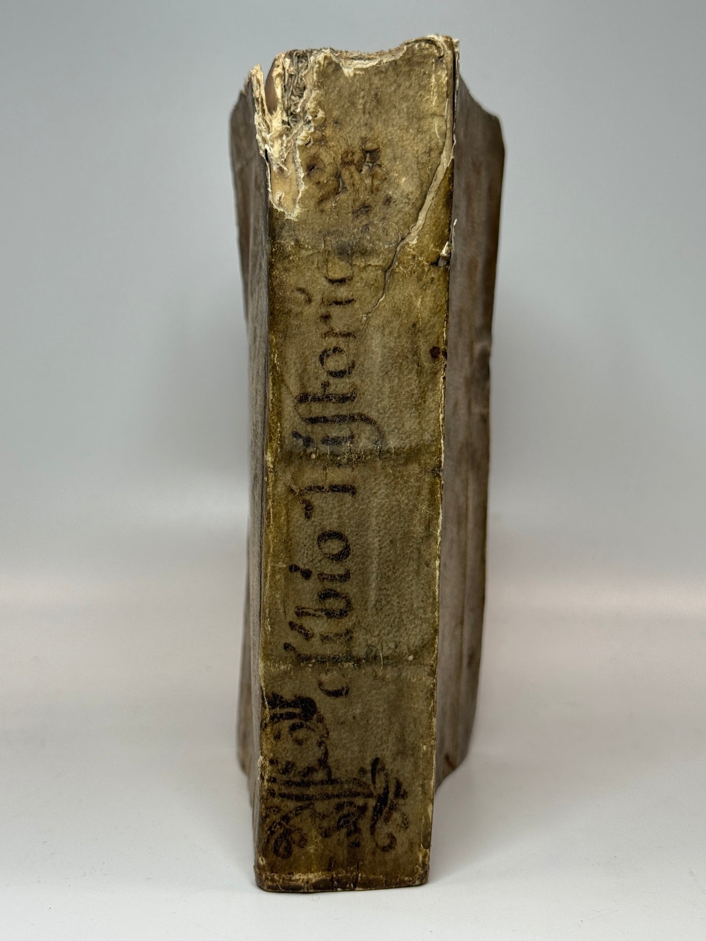 Polybius' History of Rome 1546