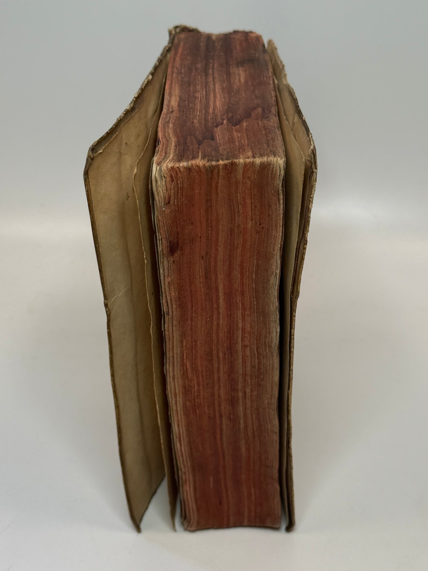 Polybius' History of Rome 1546