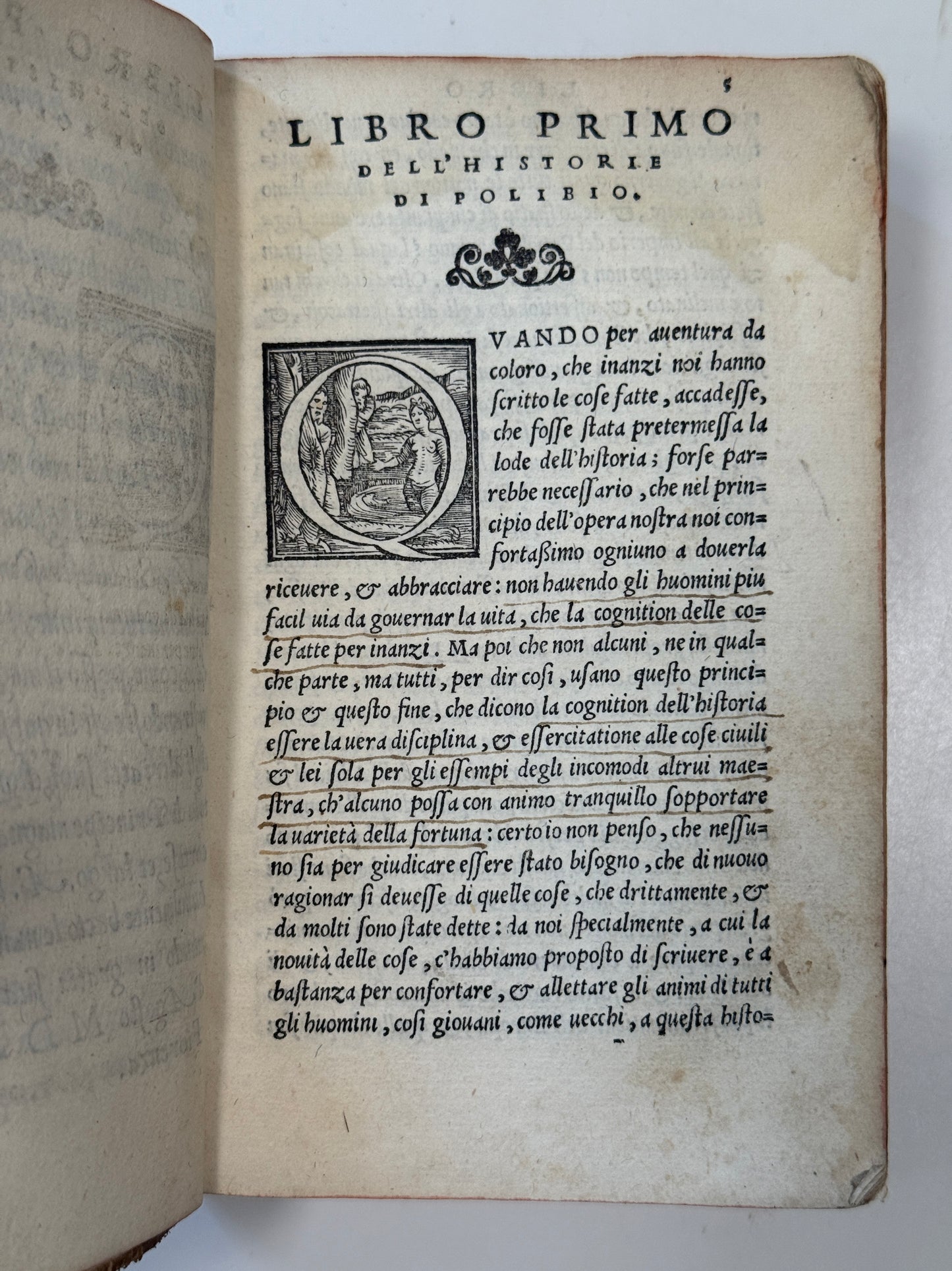 Polybius' History of Rome 1546