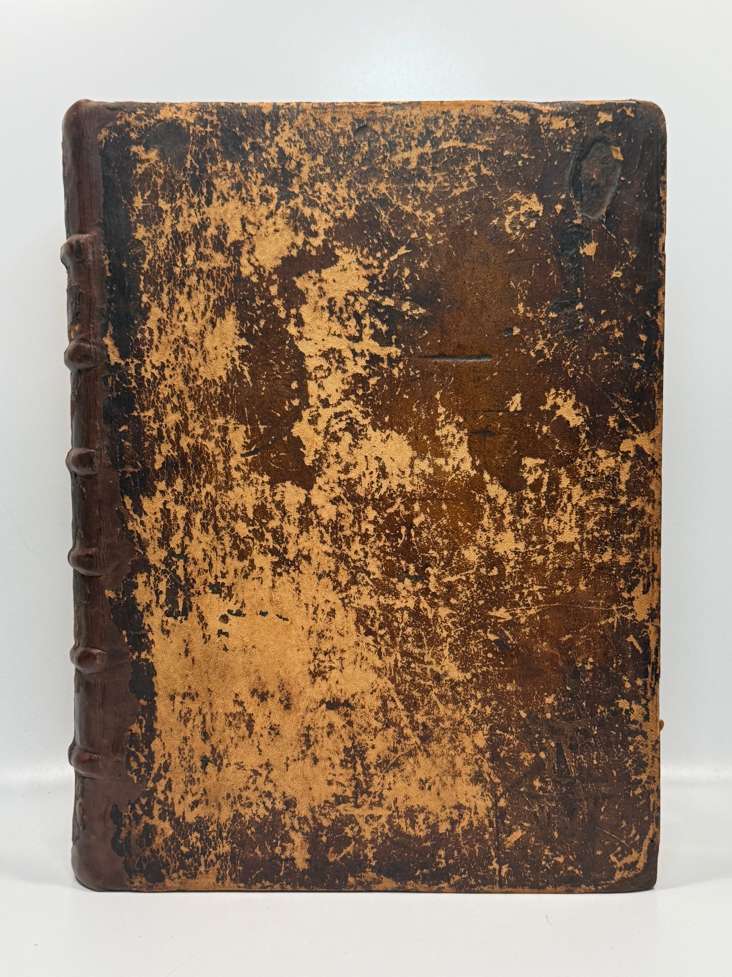 1515 Biblia Latina: Sacon/Koberger Imprint: Hand Coloured Folio