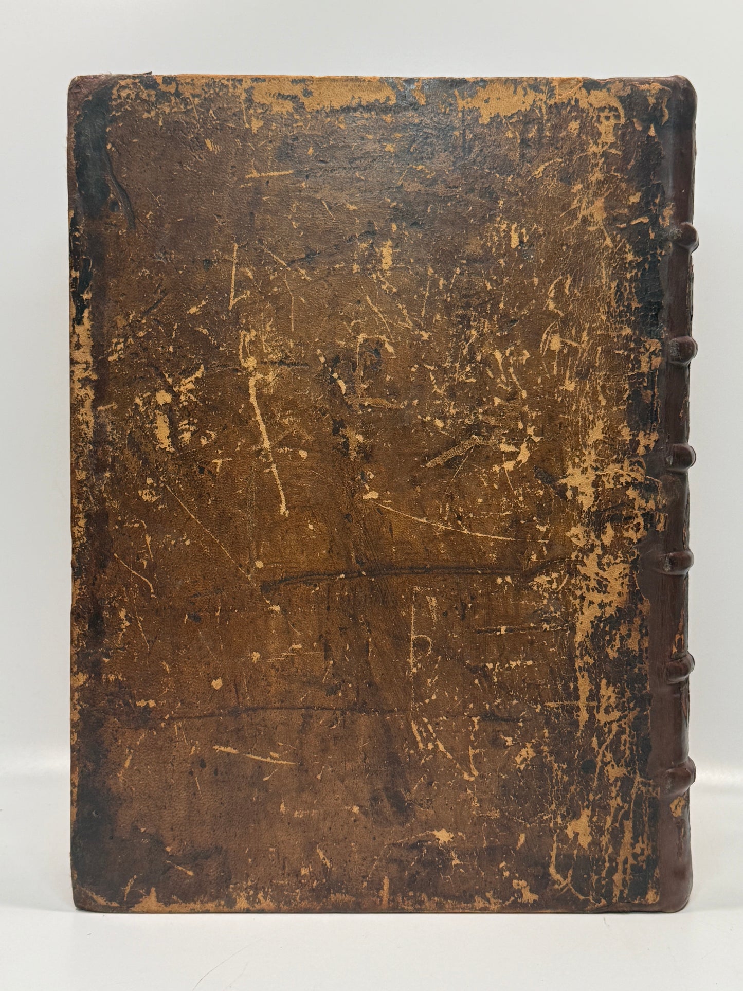 1515 Biblia Latina: Sacon/Koberger Imprint: Hand Coloured Folio