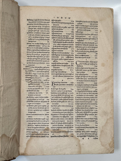 Josephus Antiquiatum Judaicarum 1540 Froben Press