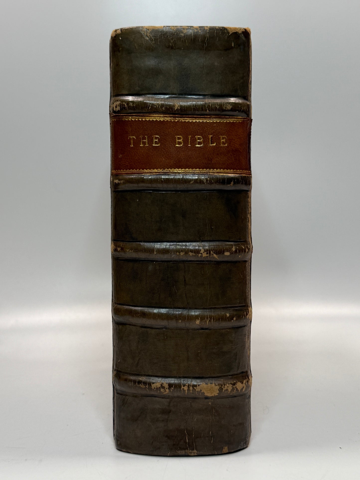 Antique Bible 1585; Geneva Bible