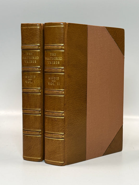 The Feathered Tribes of the British Islands by Robert Mudie 1834 First Edition