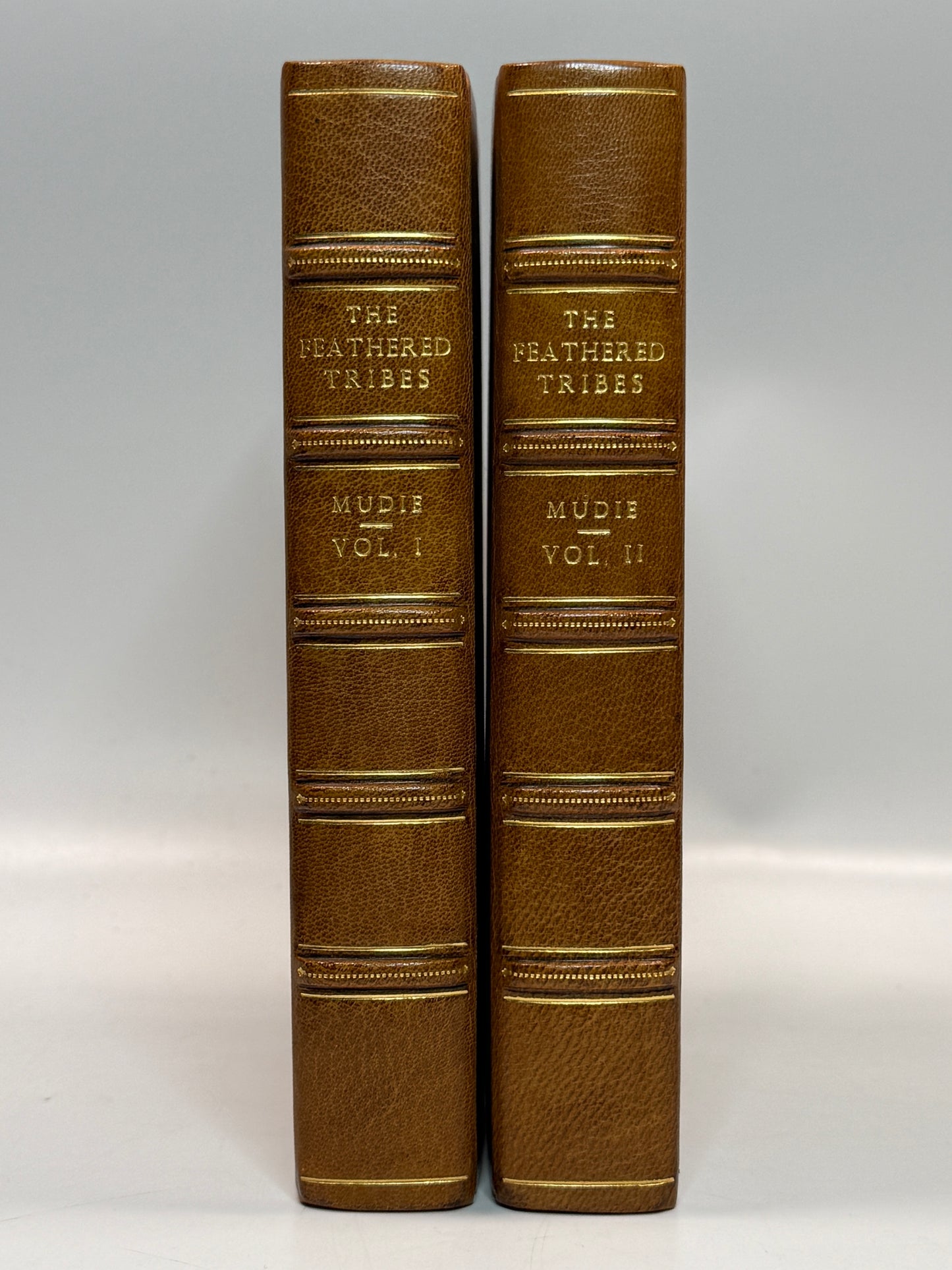 The Feathered Tribes of the British Islands by Robert Mudie 1834 First Edition