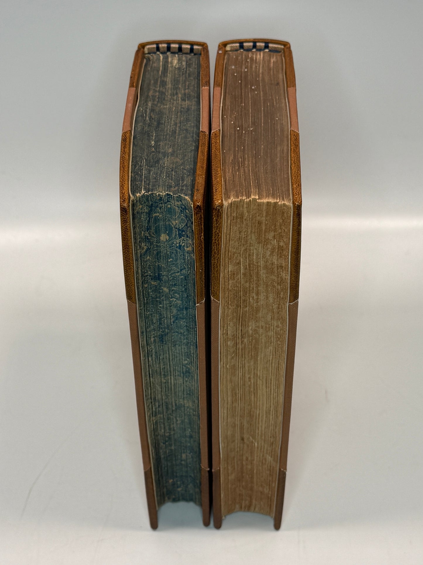 The Feathered Tribes of the British Islands by Robert Mudie 1834 First Edition