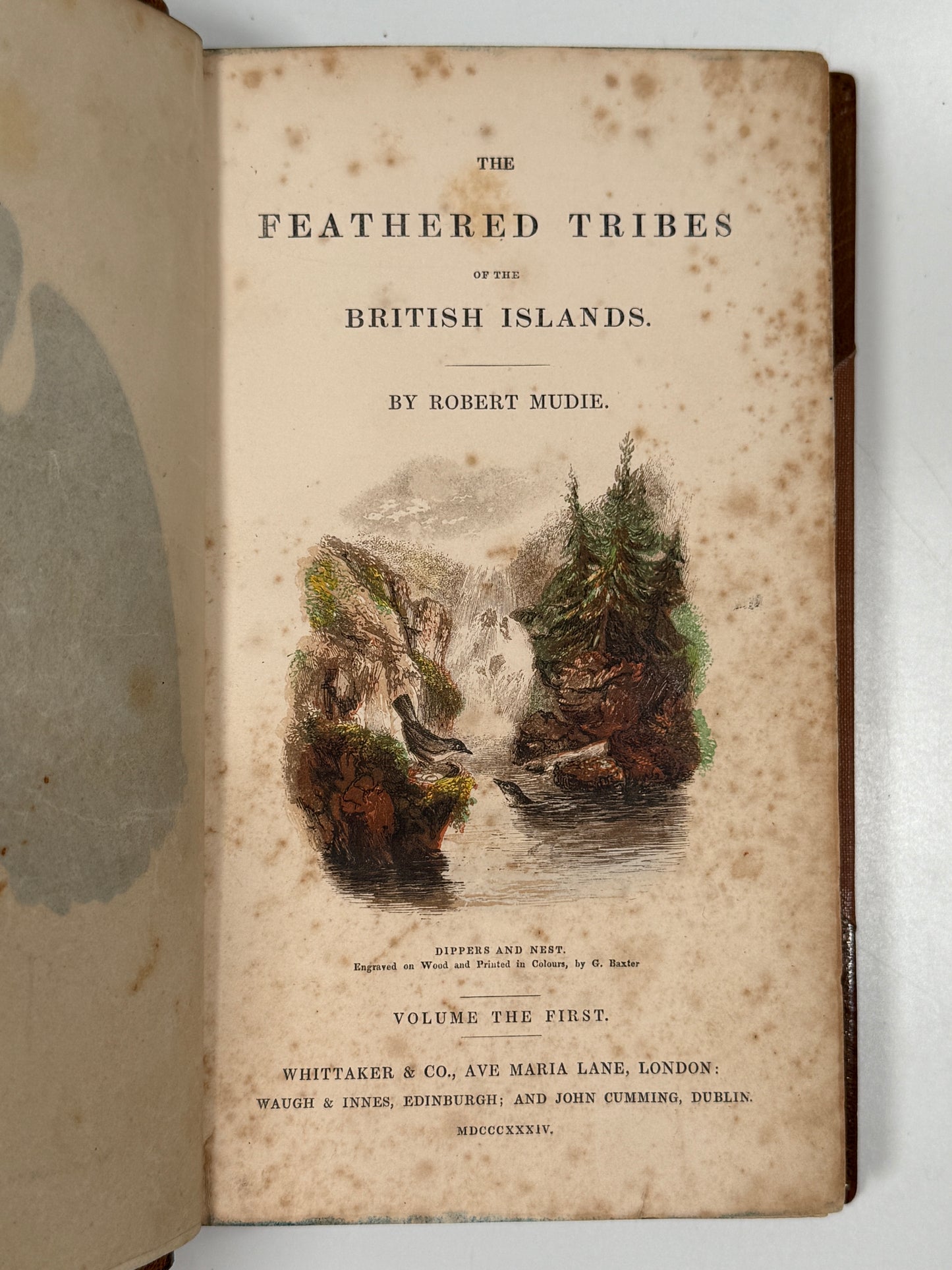 The Feathered Tribes of the British Islands by Robert Mudie 1834 First Edition