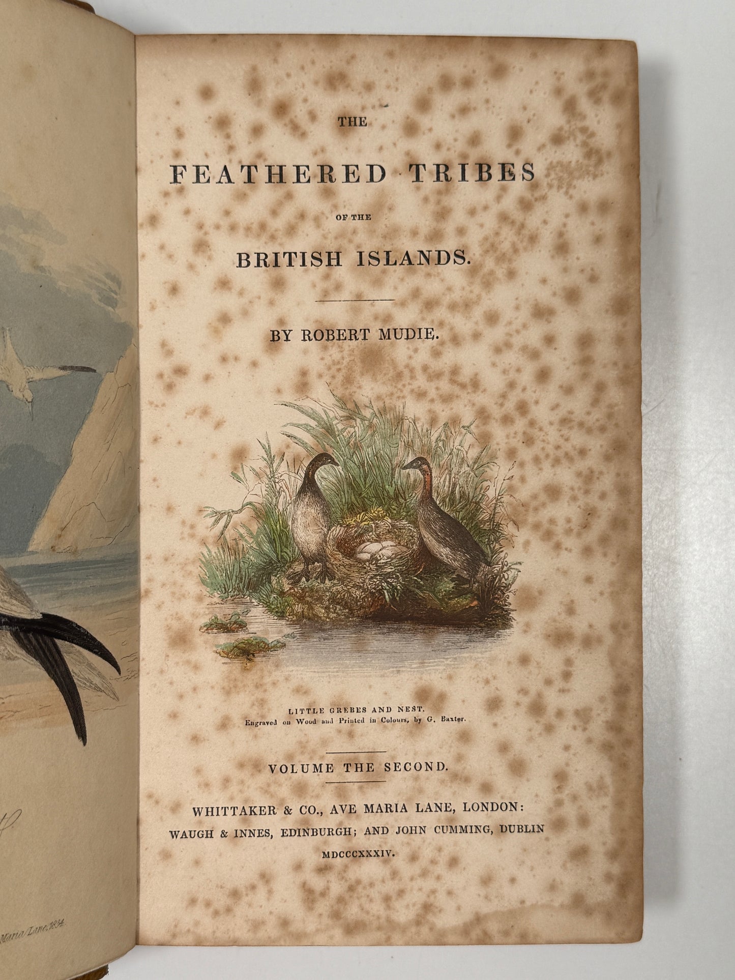 The Feathered Tribes of the British Islands by Robert Mudie 1834 First Edition