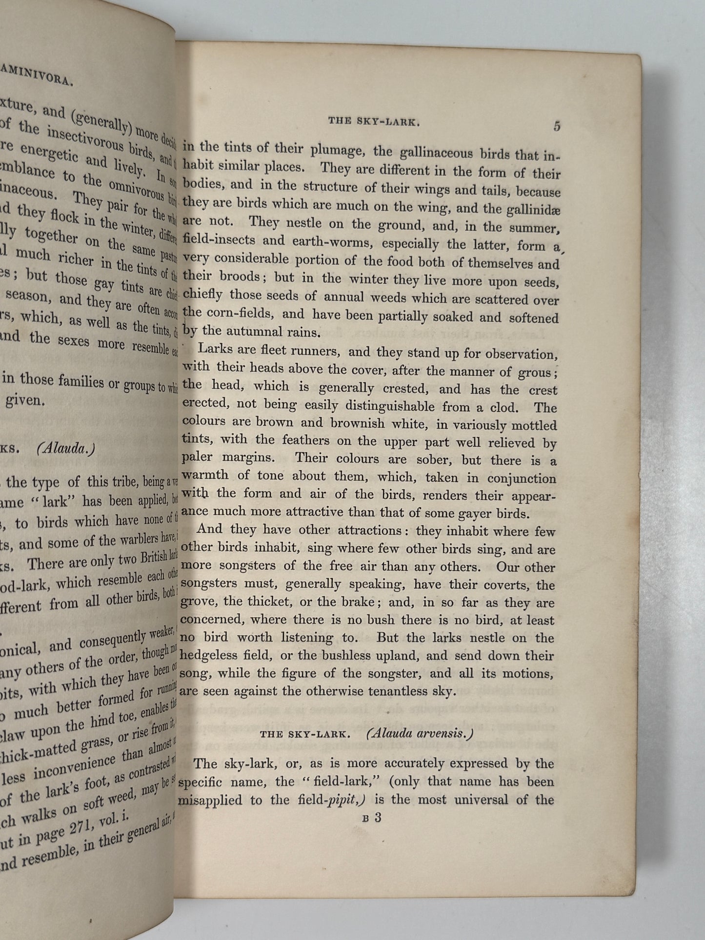 The Feathered Tribes of the British Islands by Robert Mudie 1834 First Edition