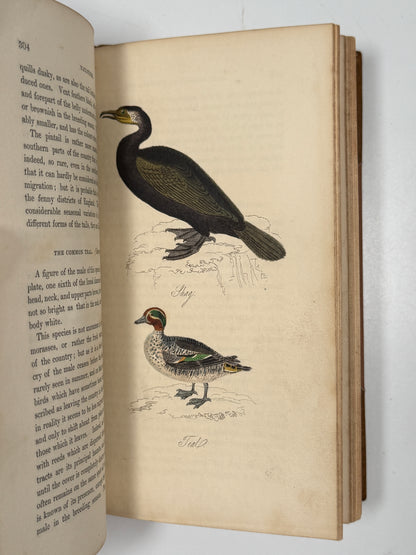 The Feathered Tribes of the British Islands by Robert Mudie 1834 First Edition