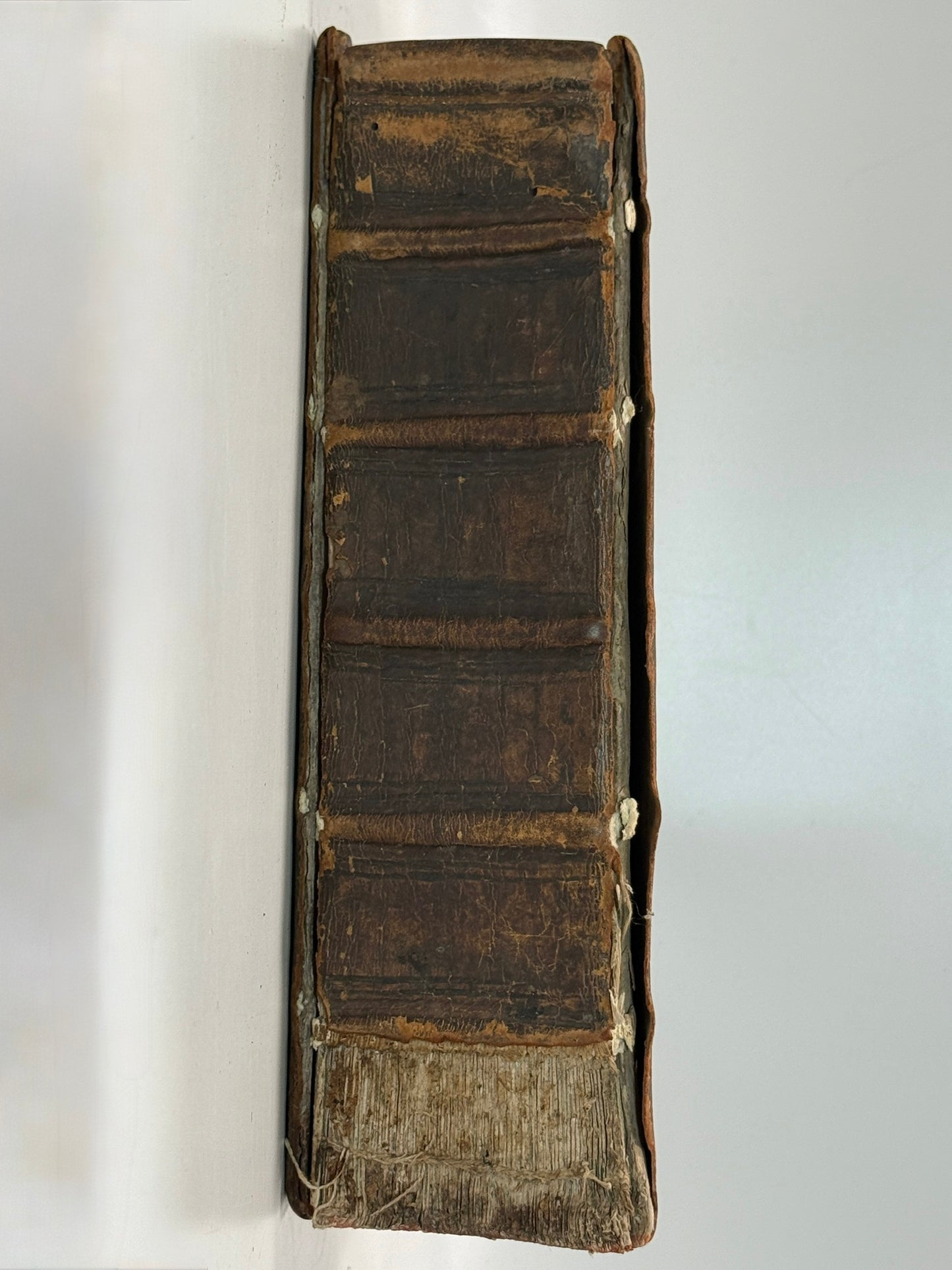 1577 Antique Bible