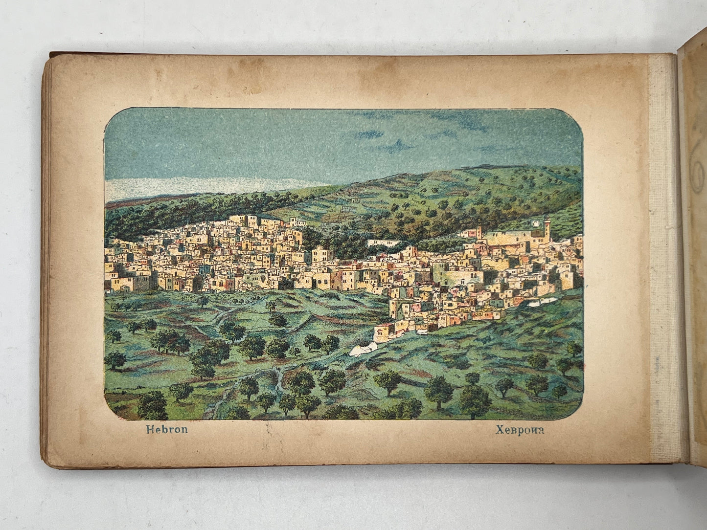 Flowers & Views of the Holy Land c.1890